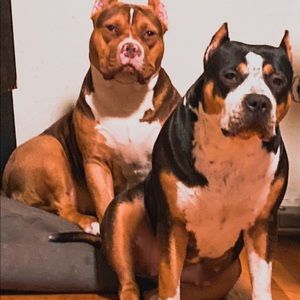 Meet your Posher, Jon